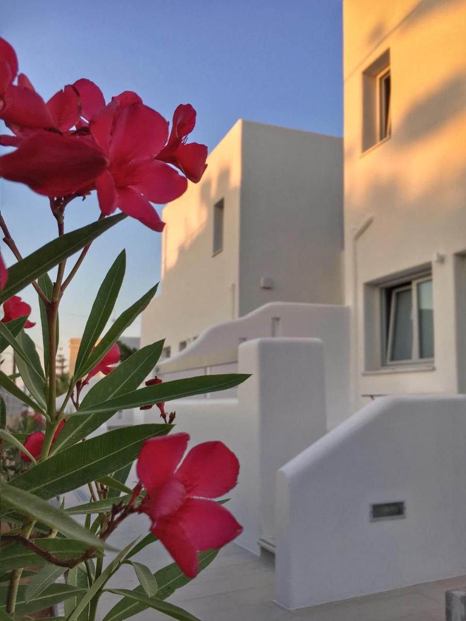 Quartano Luxury Cycladic Residence, Adults Only (13+) Naousa  Exterior foto